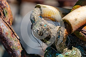 Closeup shot of colorful weathered old ropes