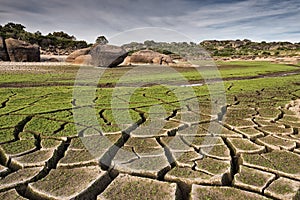 Closeup shot of the cracked ground covered with moss in the natural area of Marruecos, Spain photo