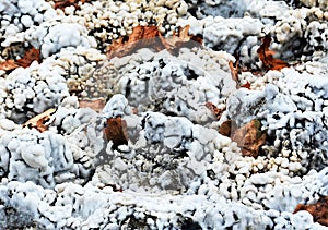Closeup shot of crystallized salt on the ground