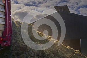 Closeup shot of cut off hays with a barn and a cloudy sky in the background