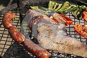 Closeup shot of a delicious barbeque of meat and bell peppers and sausages under the sun