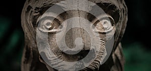 Closeup shot of the details of a lion sculp