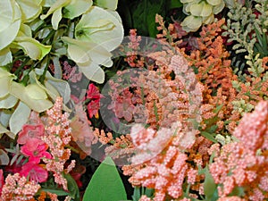Closeup shot of different arrangements of artificial flowers