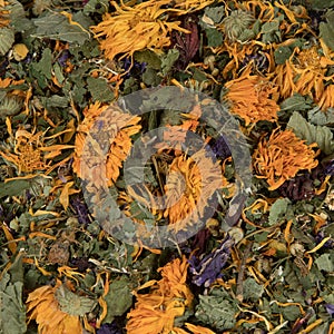 Closeup shot of dried medicinal herbs