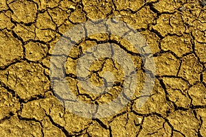 Closeup shot of dry cracked earth background