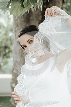 Closeup shot of elegant, brunette bride posing under veil closeup