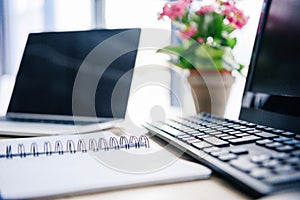 closeup shot of empty textbook, laptop, flowers in pot, computer, computer keyboard and computer mouse