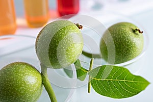 Closeup shot of feijoa plants in a glass dish at a lab
