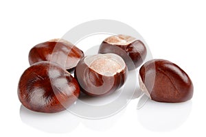 Closeup shot few chestnuts isolated on white background