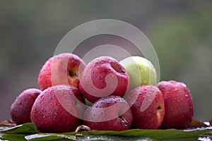 Closeup shot of fresh apples in the rain on a banana leaf