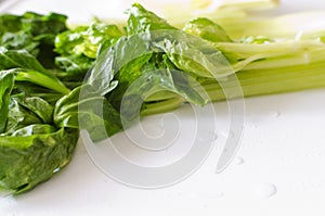 Closeup shot of fresh celeries against a white background