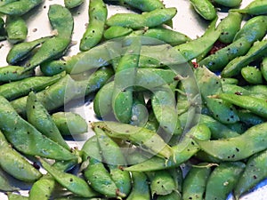 Closeup shot of fresh edamame beans