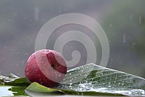 Closeup shot of fresh red apple in the rain on a banana leaf