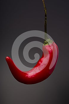 Closeup shot of a fresh red hot chili pepper isolated on the black background