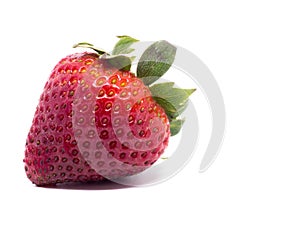 Closeup shot of fresh strawberries. Isolated on white background