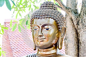 Closeup shot of a golden Buddha statue head