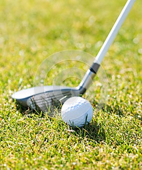 Closeup shot of a golf ball and club on a golf course