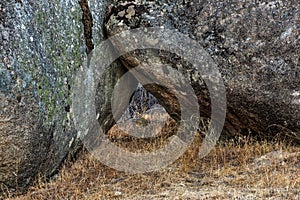 Closeup shot of granitic formation in the natural area of the Barruecos, Spain