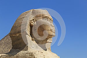 Closeup shot of the Great Sphinx of Giza in Egypt