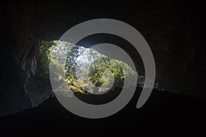 Closeup shot of the Gruta de Totomochapa cave in the dark in Mexico photo