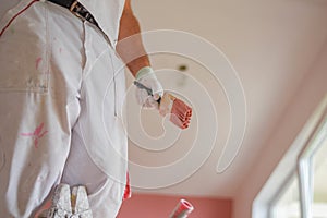 Closeup shot of a handyman holding a pink paintbrush