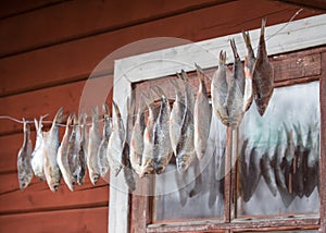 Closeup shot of hanging dried fish