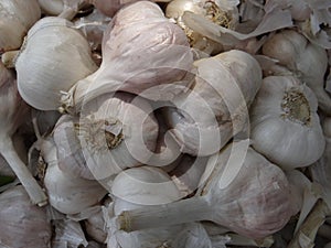 Closeup shot of the head of garlic