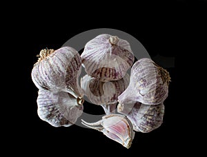 Closeup shot of the head of garlic isolated on black background