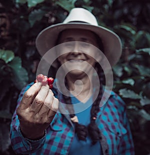 Closeup shot of a Hispanic female showing cherry red coffee beans in a bunch in her hand