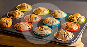 A closeup shot of homemade vegan banana blueberry muffins arranged in a baking tray