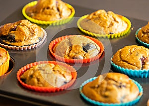 A closeup shot of homemade vegan banana blueberry muffins arranged in a baking tray