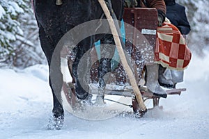 Closeup shot of the hooves of a horse pulling a sled through snow