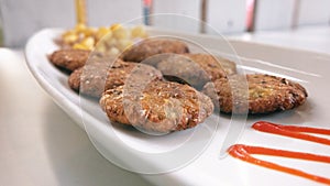 Closeup shot of Indian chicken kabab in a white plate