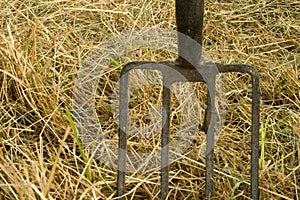 Closeup shot of an iron rake in the pile of dry grass