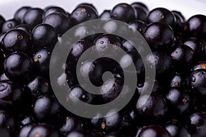 Closeup shot of Jaboticaba berry fruit spread on the surface