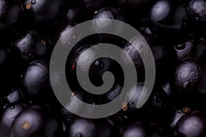 Closeup shot of Jaboticaba berry fruit spread on the surface