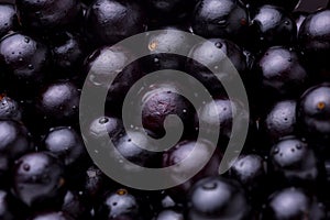 Closeup shot of Jaboticaba berry fruit spread on the surface