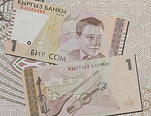 Closeup shot of Kyrgyztan som banknote