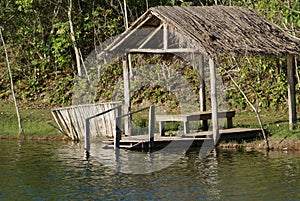 Closeup shot of a lakehouse in the middle of a forest in Bonito, Brazil