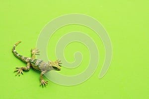 Closeup shot of a lizard shaped rubber toy on a green background