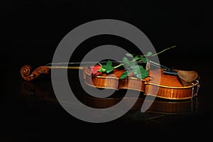 Closeup shot of a long stem red rose on top of a violin isolated on a dark background
