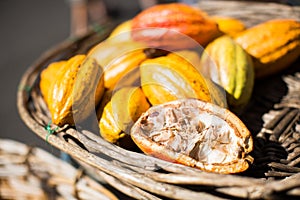 Closeup shot of a lot of calabaza pumpkins in a weaved basket photo