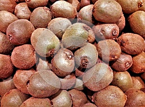 Closeup shot of many kiwi fruits
