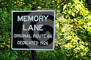 Closeup shot of Memory Lane road sign on the bushes under sunlight