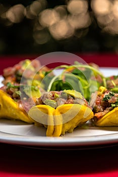 Closeup shot of Mexican-style tacos on a white plate, filled with minced meat