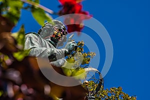 Closeup shot of Nicolaus Copernicus Statue in Torun, Poland