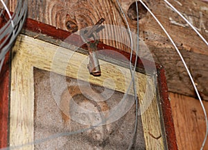 Closeup shot of an old and rusted frame with the picture of Jesus Christ