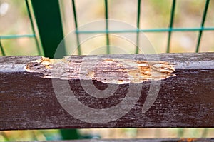 Closeup shot of old scratched wood with reen metal fence in the background