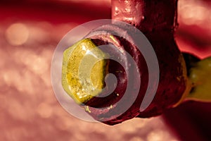 Closeup shot of an old steam engine locomotive metal bolt fragments