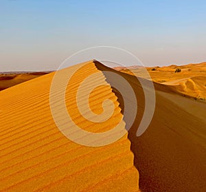 Closeup shot of a patterned yellow sand dune in a desert formed by the wind